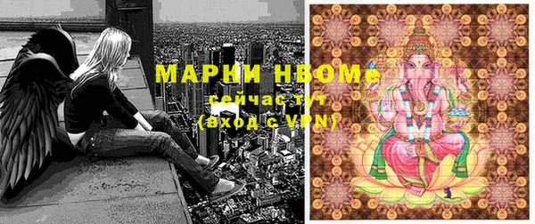 шишки Богородицк